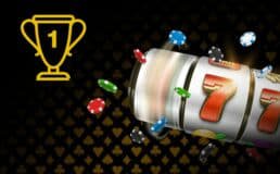 b52cup